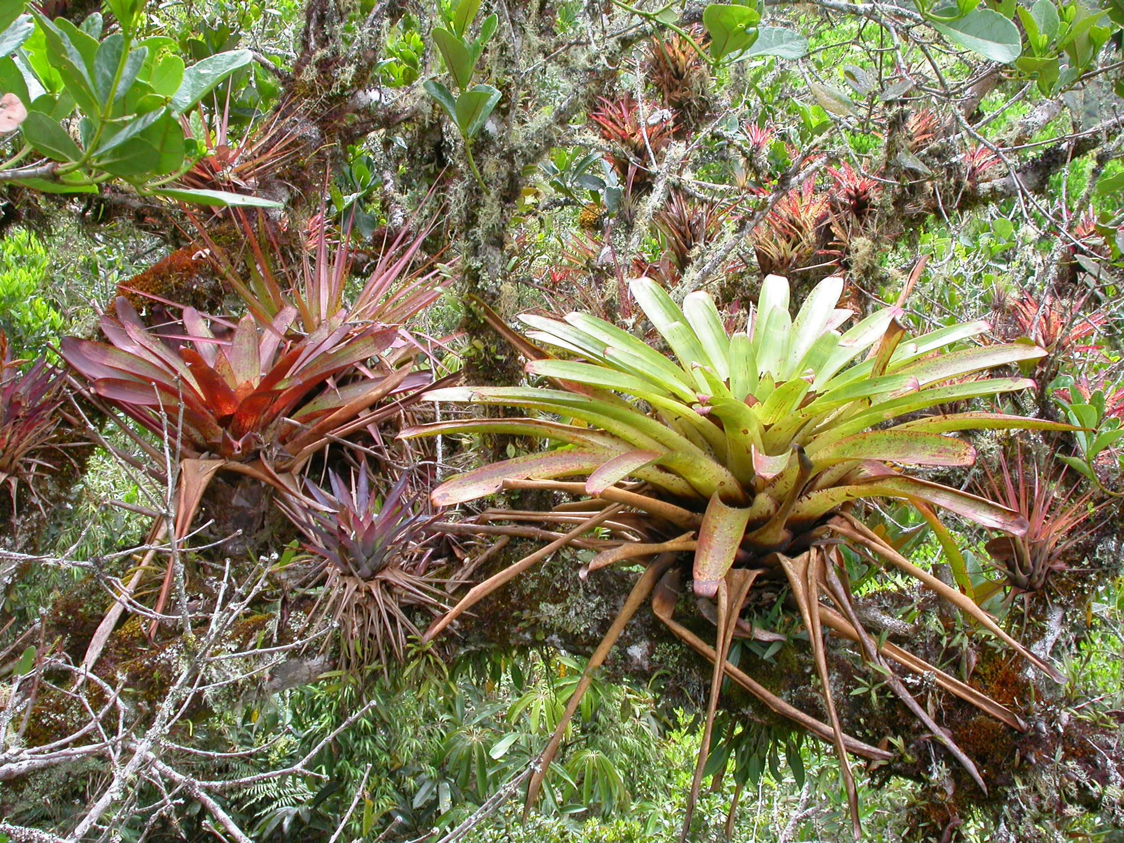 Presseinformationen Göttingen